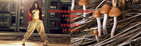 мескалин Арсеньев
